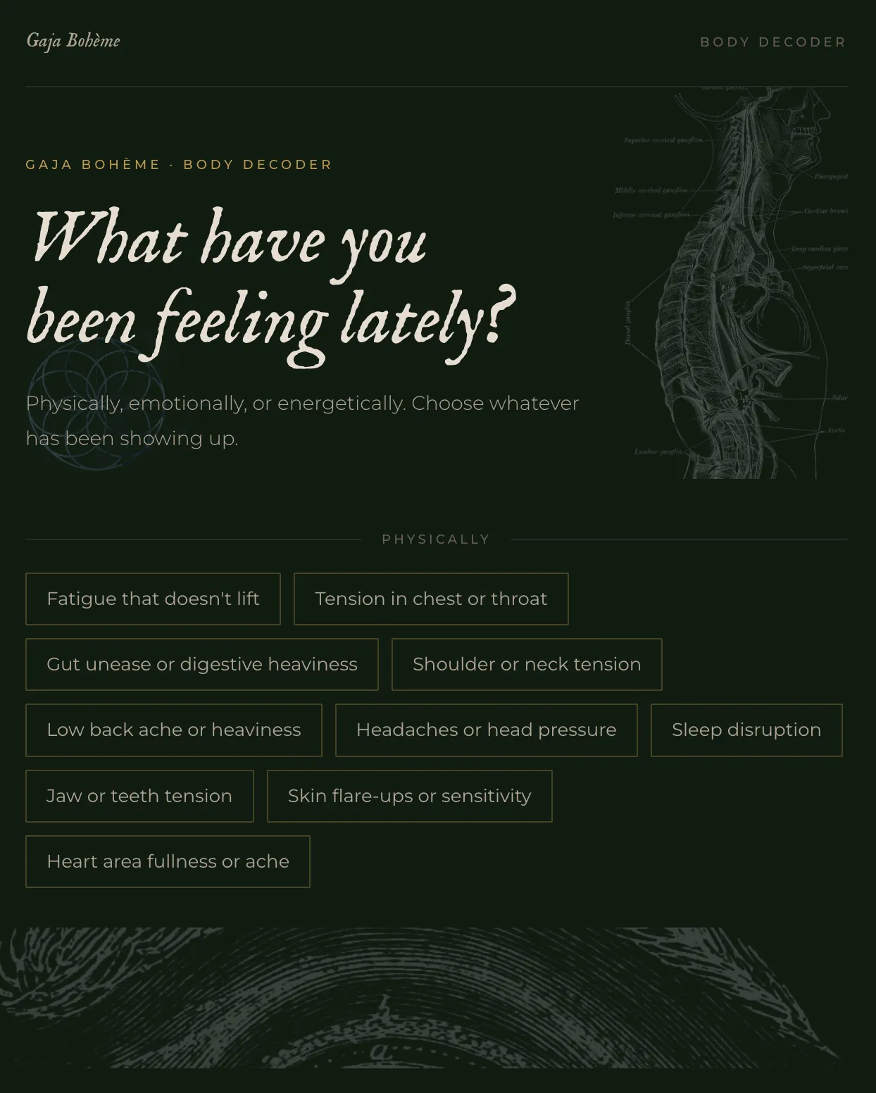 The Body Decoder built for Gaja Bohème